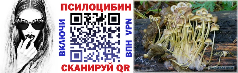 Галлюциногенные грибы GOLDEN TEACHER  Ижевск 